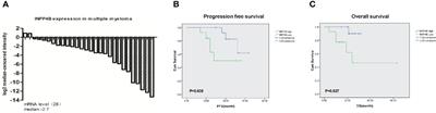 Inositol Polyphosphate 4-Phosphatase Type II Is a Tumor Suppressor in Multiple Myeloma